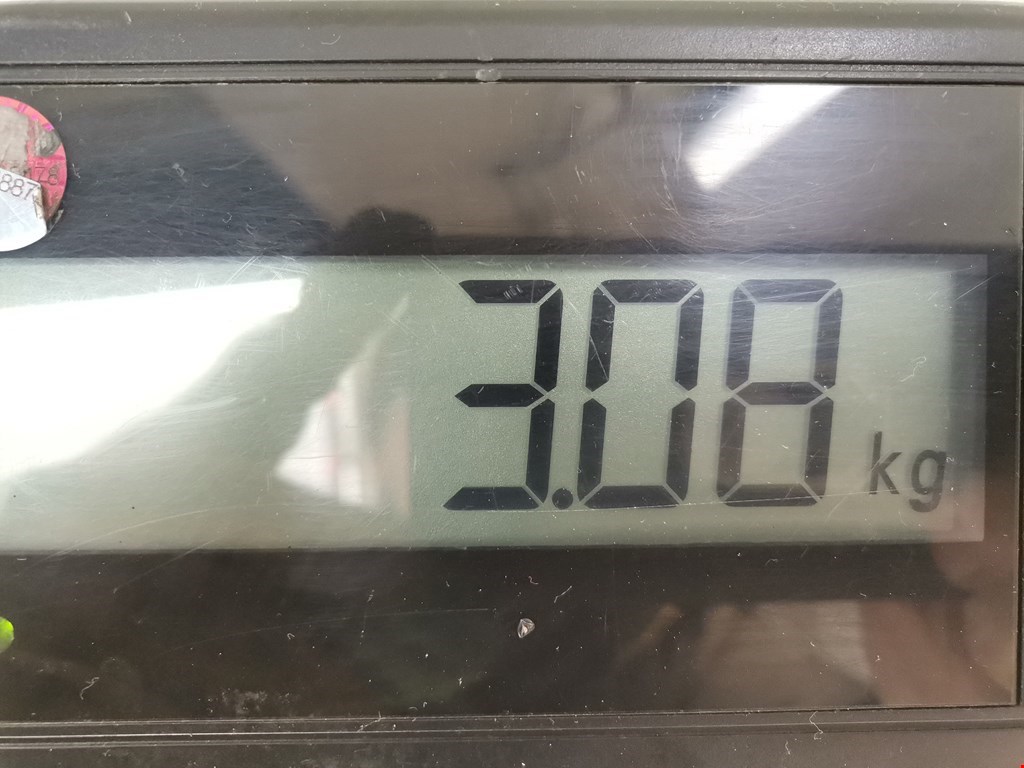 Стеклоподъемник задний левый FORD Focus II 2005-2011