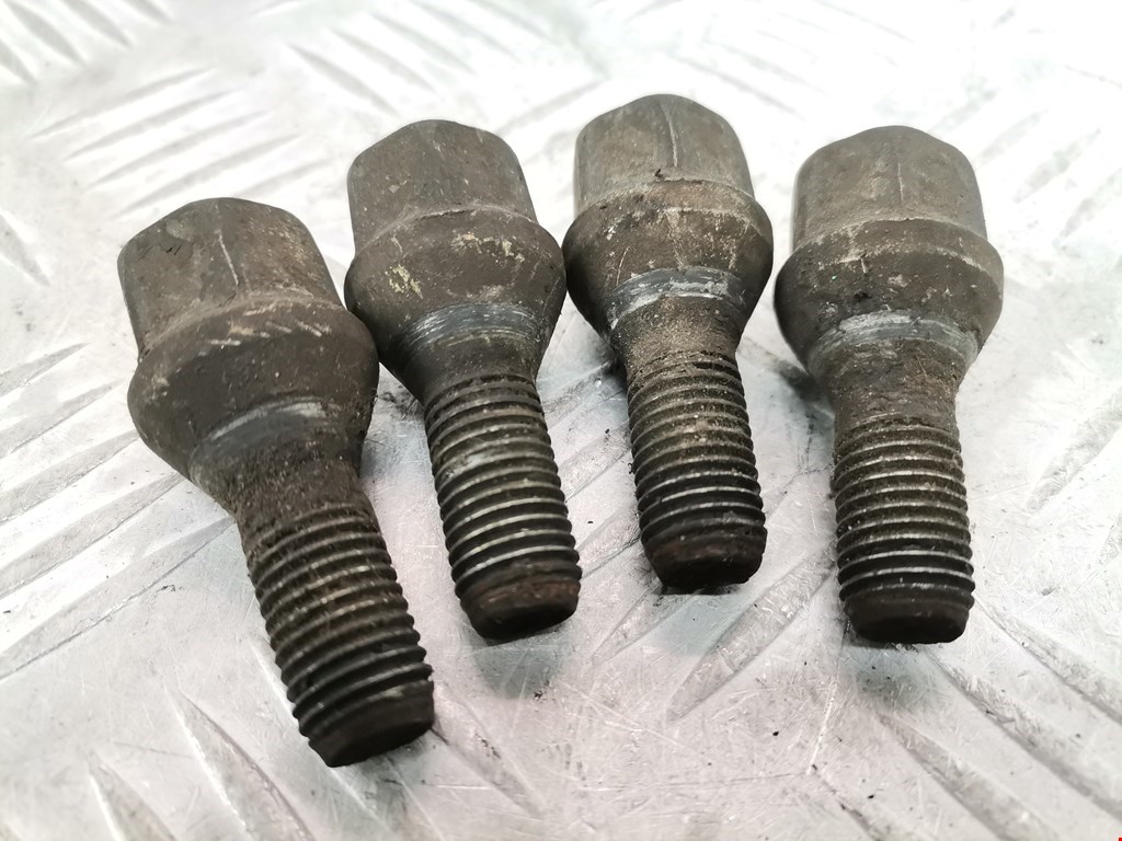 Болты RENAULT Scenic II 2003-2010