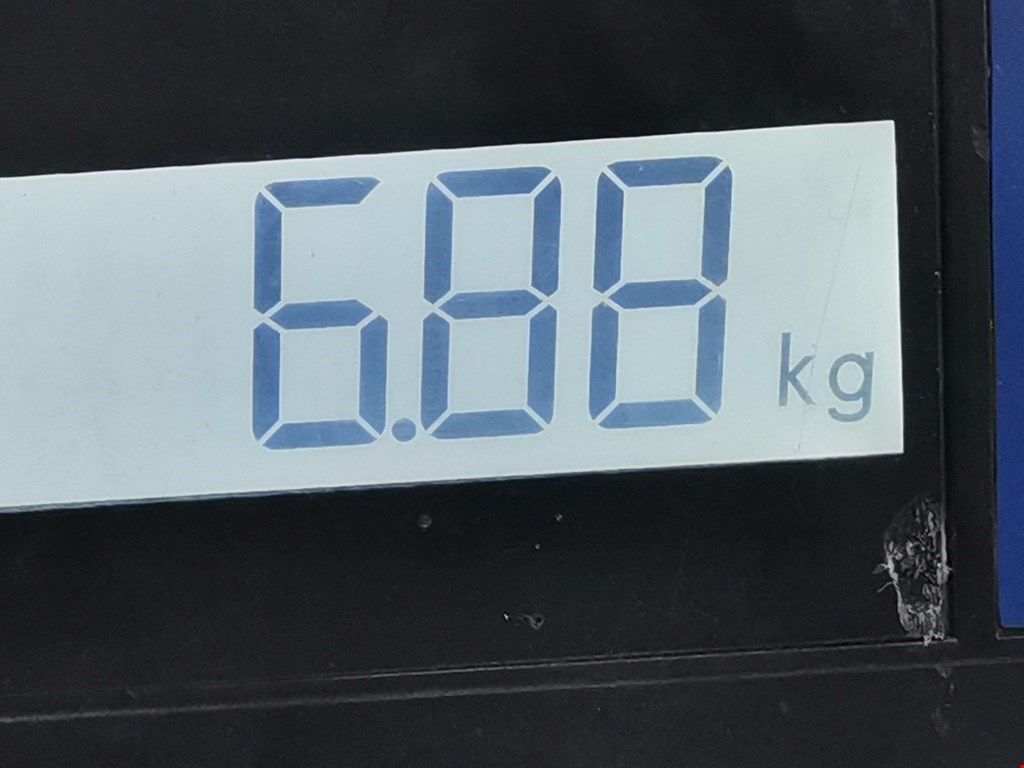 Стабилизатор задний (поперечной устойчивости подвески) MASERATI Quattroporte M139 2003-2012