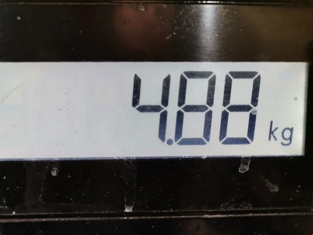 Поддон масляный двигателя MERCEDES-BENZ A-Class W168 1997-2004