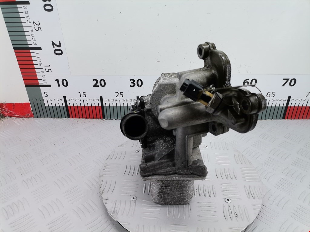 Корпус масляного фильтра RENAULT Espace 2003-2014