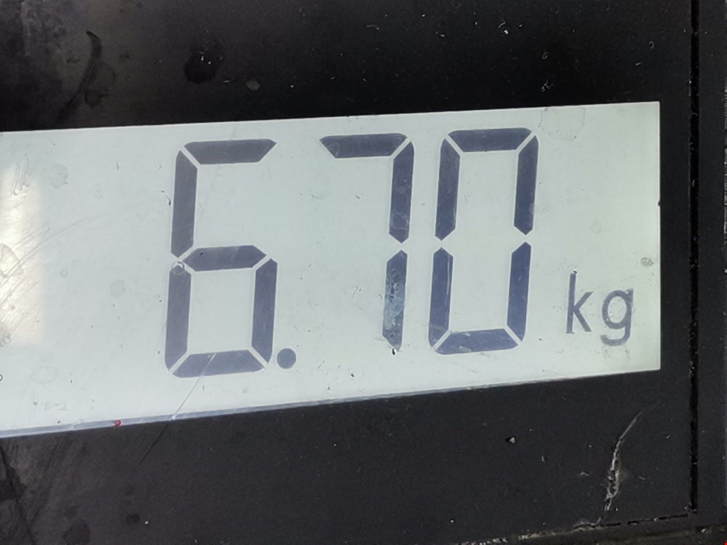 Амортизатор передний правый OPEL Meriva B 2010-2018