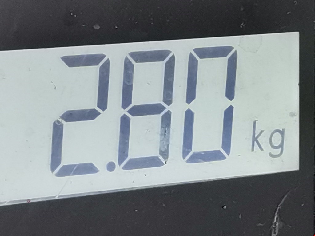 Пружина задняя левая/правая FORD Fiesta 2008-2012