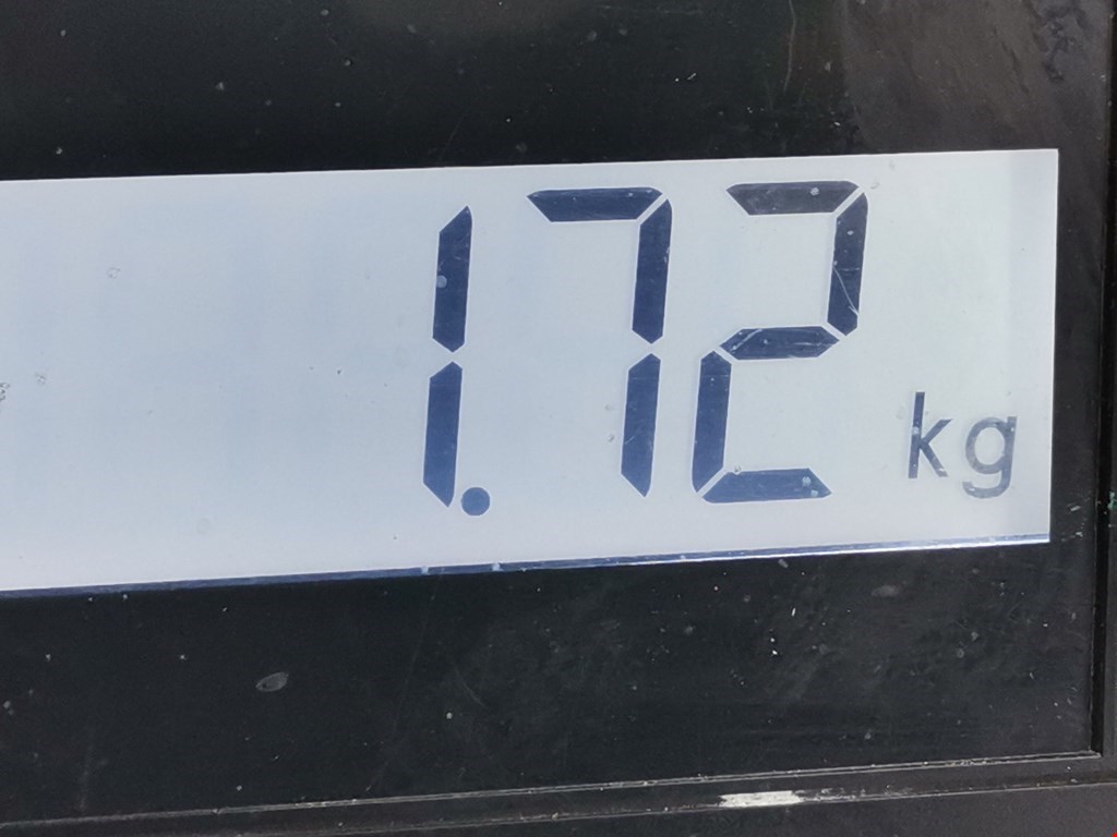 Ремень безопасности передний правый RENAULT Scenic II 2003-2010