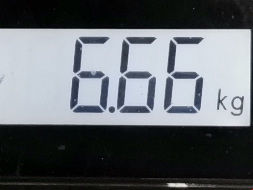 Пружина задняя левая/правая CHRYSLER Pacifica 2003-2008