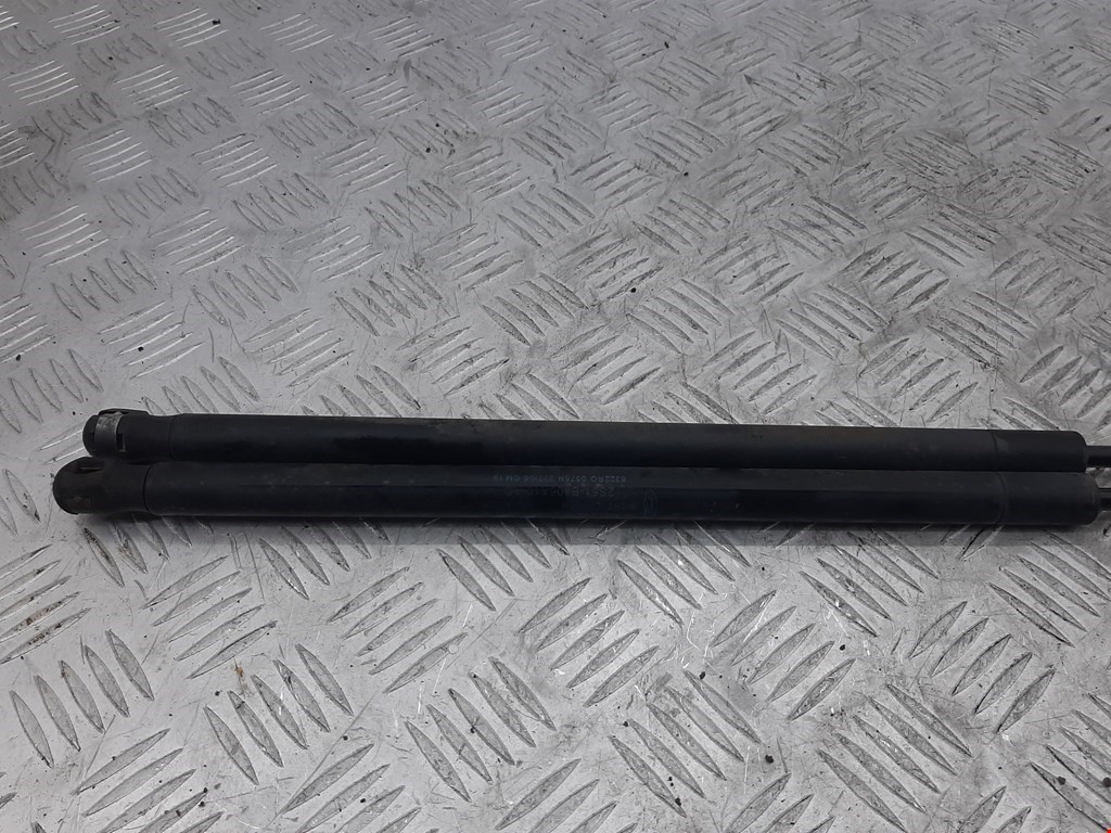 Амортизатор крышки (двери) багажника FORD Fiesta 2001-2008