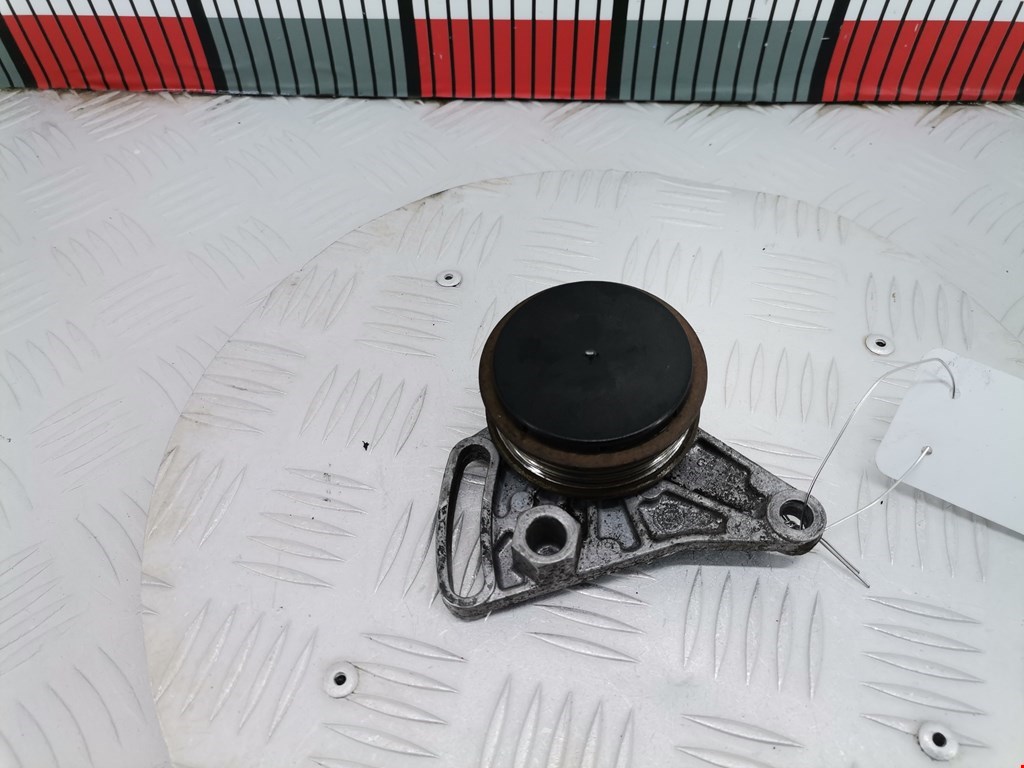 Натяжитель ремня VOLKSWAGEN Passat B5 1997-2005