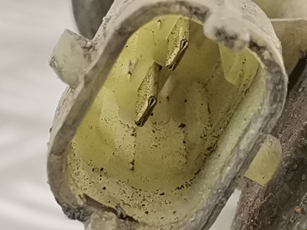 Амортизатор задний левый OPEL Vectra Vectra C 2002-2008