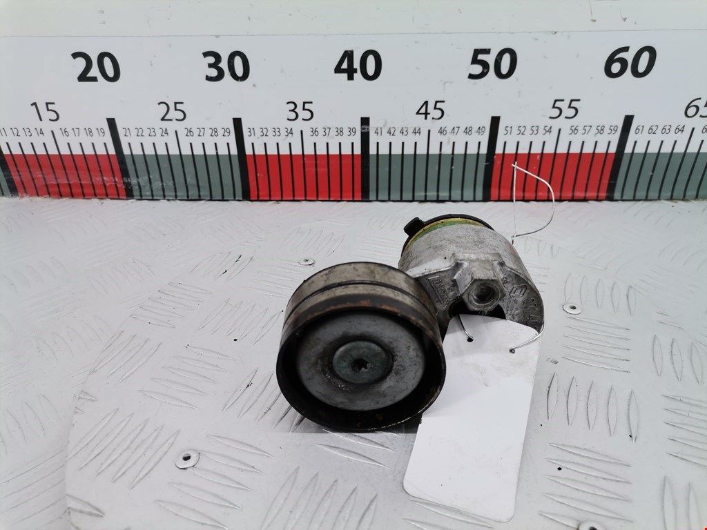 Натяжитель ремня генератора (приводного поликлинового ремня Renault Laguna 2 (2000-2007)