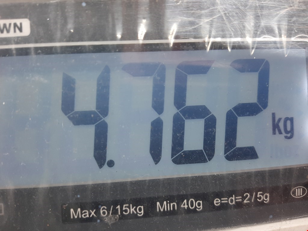 Колонка рулевая NISSAN Navara III D40 2005-2015