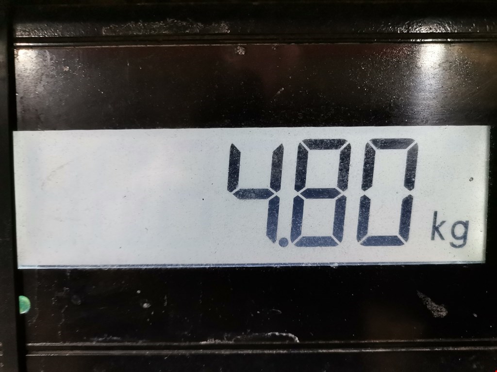 Коллектор выпускной RENAULT Scenic I 1996-2003