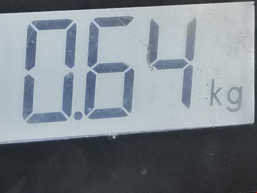 Ремень безопасности задний левый BMW 3er E46 1998-2006