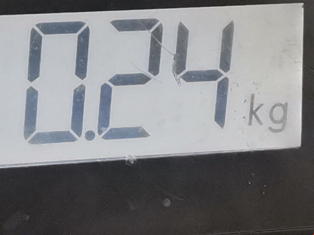 Плафон салонный (салона фонарь) VOLKSWAGEN Golf V 2003-2009