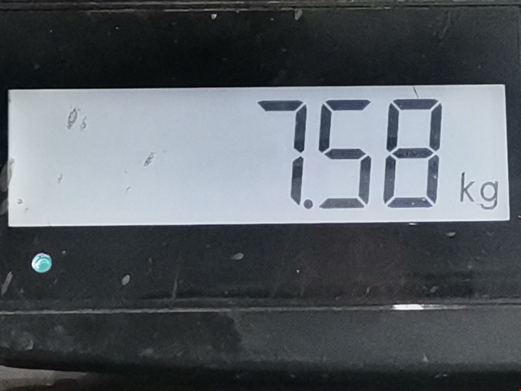 Амортизатор передний правый RENAULT Scenic I 1996-2003