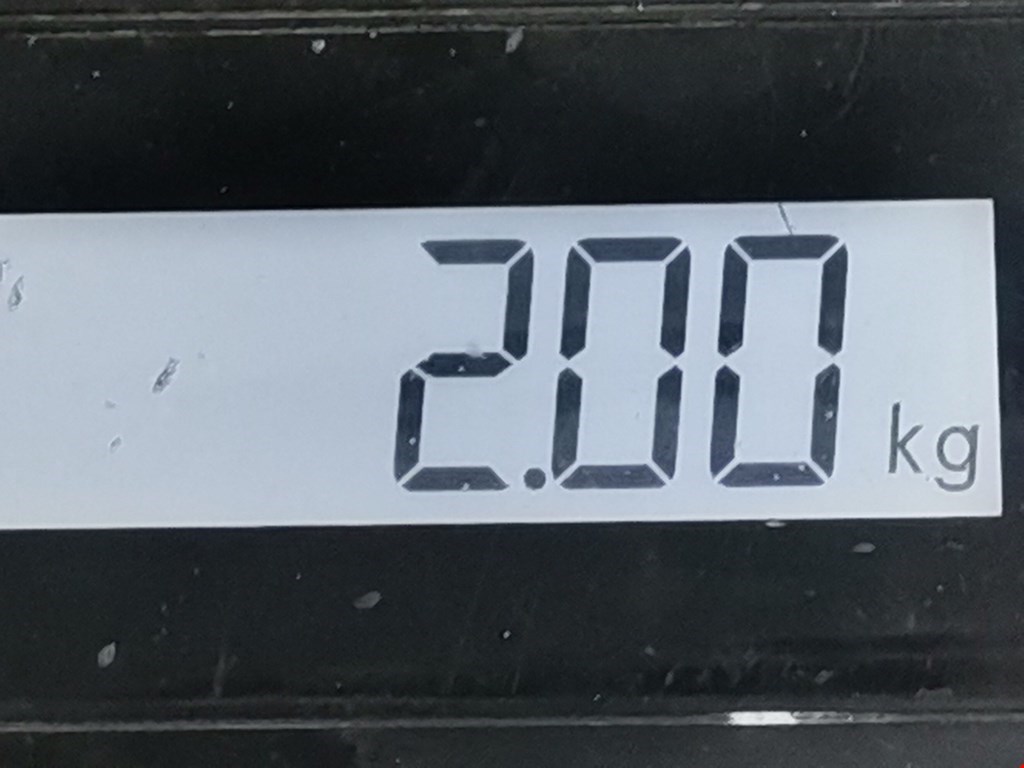 Амортизатор задний левый RENAULT Scenic I 1996-2003