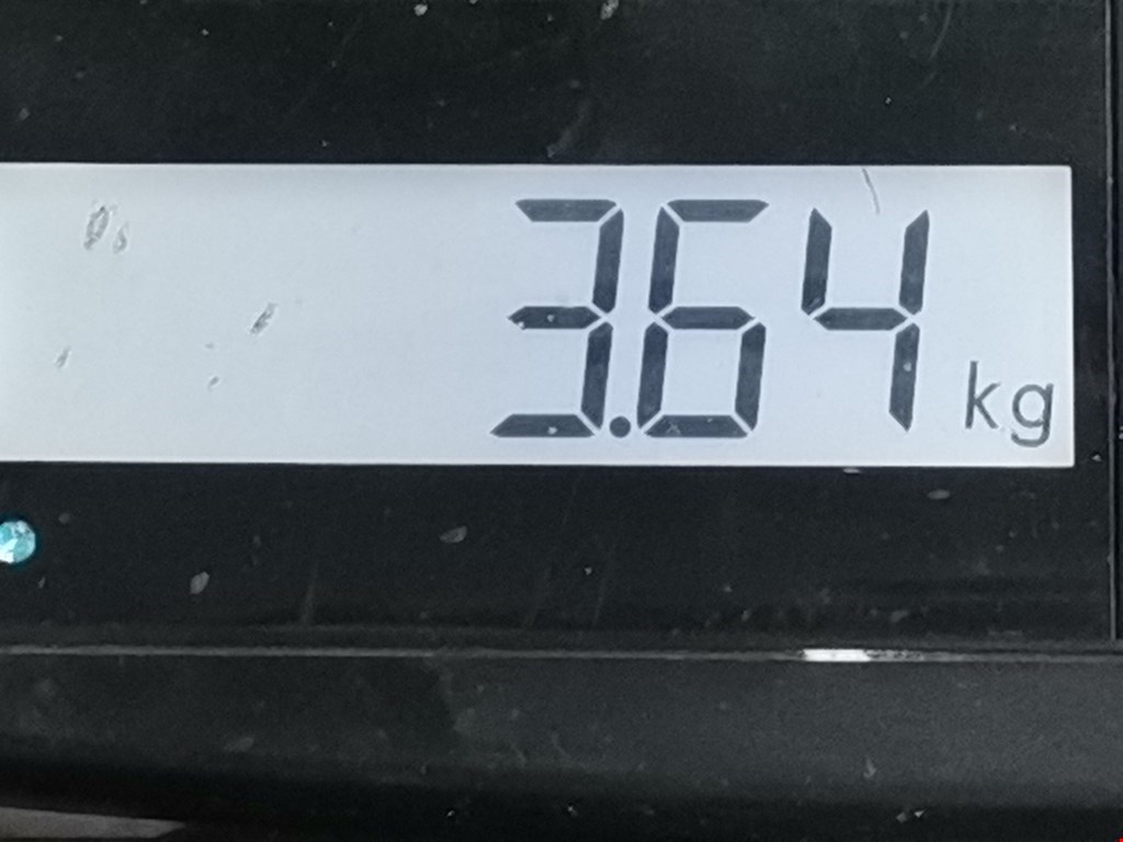 Пружина задняя левая/правая RENAULT Megane II 2002-2009