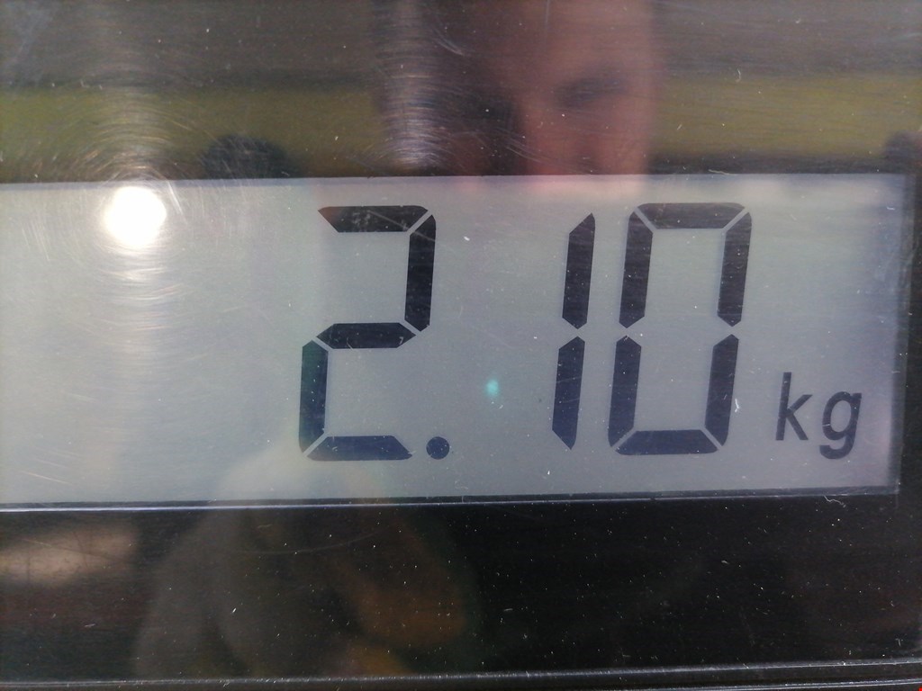 Радиатор основной FORD Fiesta 2001-2008