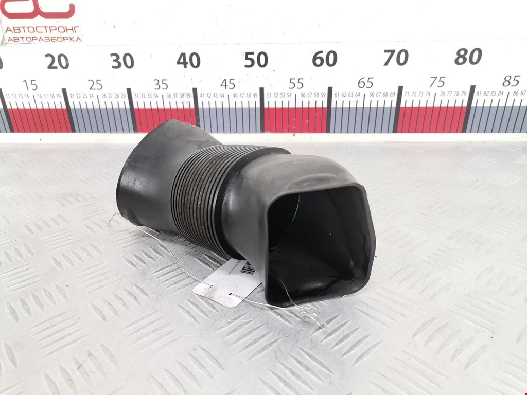 Воздуховод VOLKSWAGEN Phaeton 2002-2016