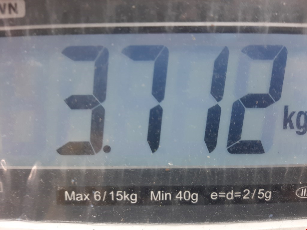 Колонка рулевая MAZDA Xedos 6 1992-1999