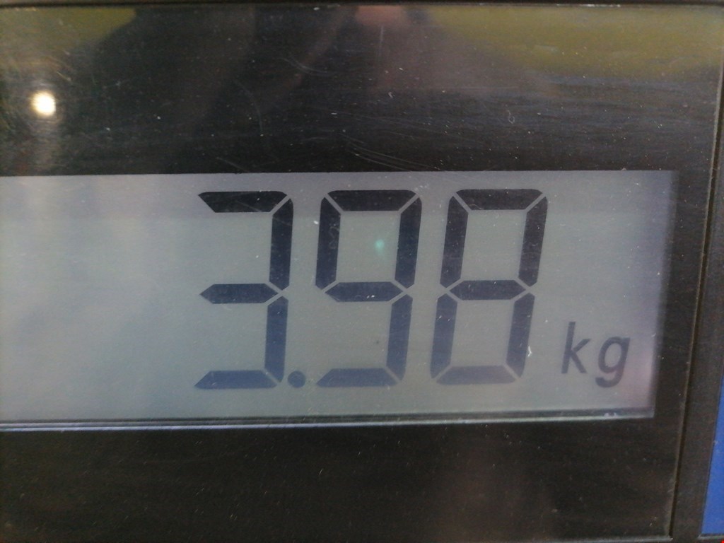 Усилитель переднего бампера (передний) AUDI A3 8L 1996-2003