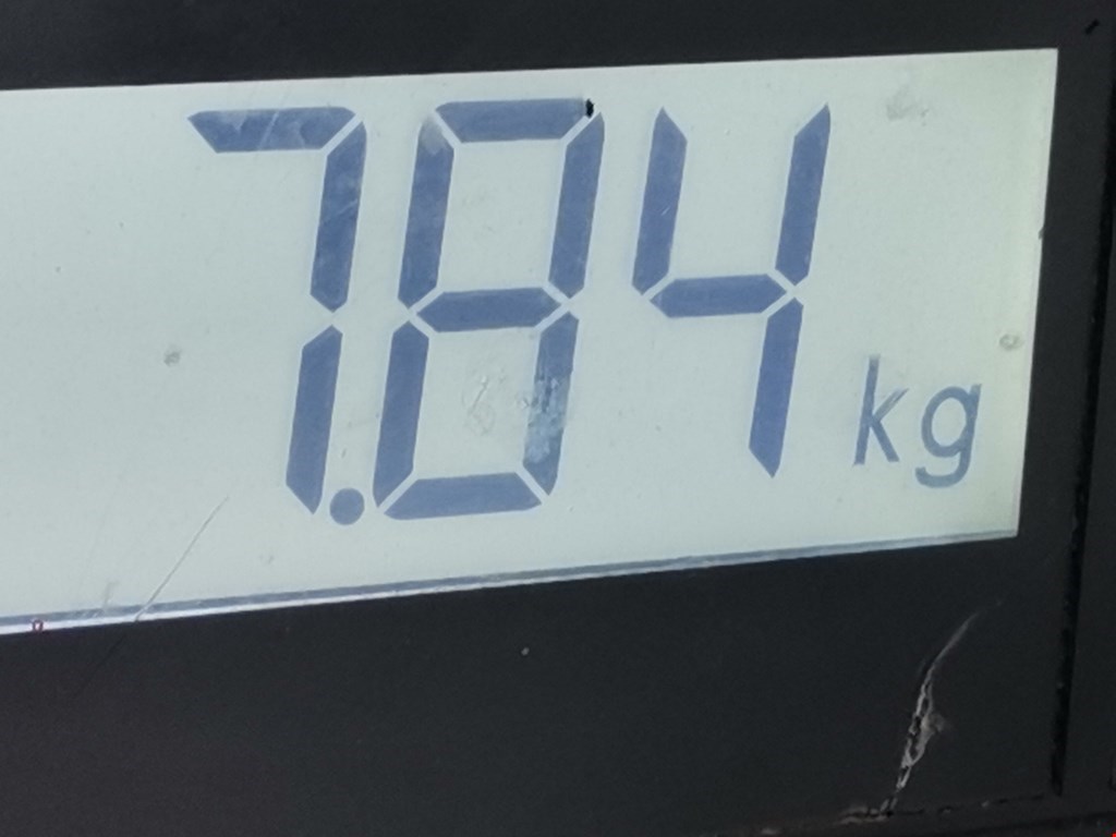 Амортизатор передний правый RENAULT Scenic I 1996-2003