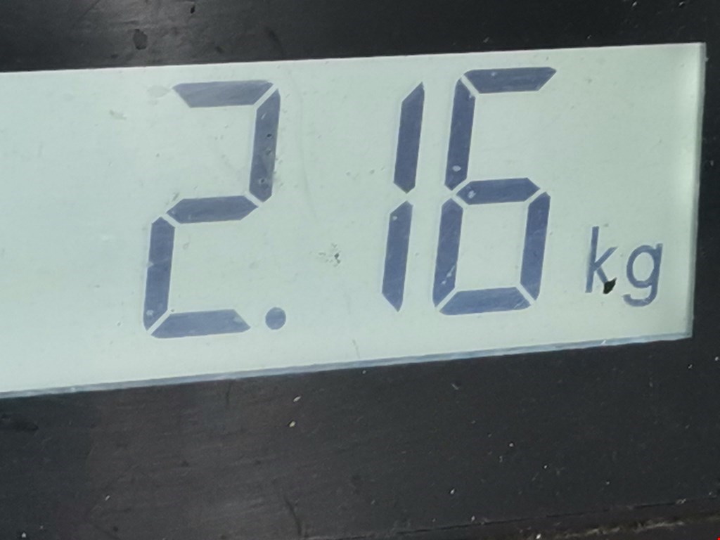 Амортизатор передний левый MERCEDES-BENZ M-Class W163 ML 1997-2005