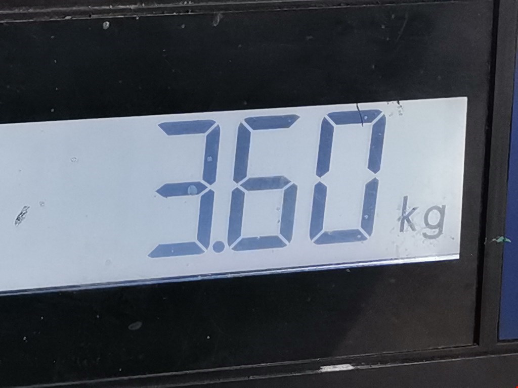 Суппорт задний правый JAGUAR X-Type 2001-2009