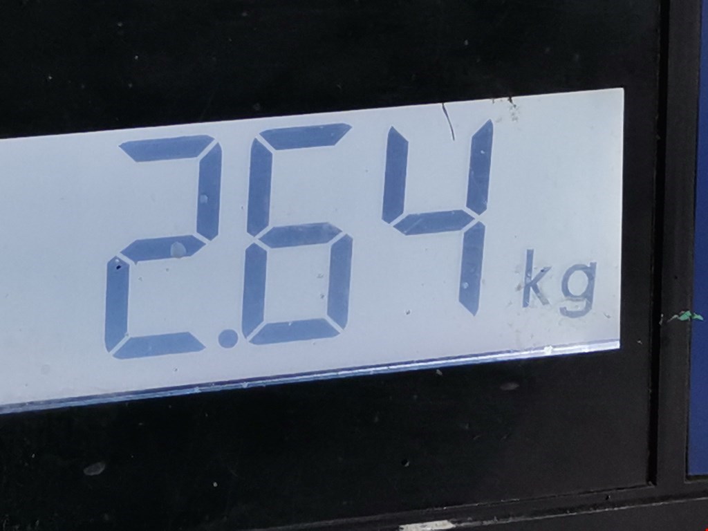 Суппорт задний правый FORD F-150 2004-2008