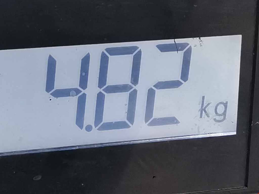 Стартер JAGUAR S-Type 1999-2008