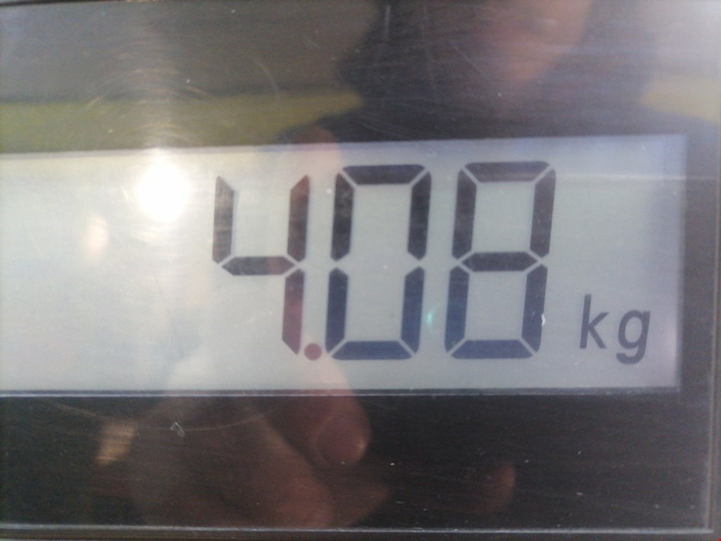 Усилитель переднего бампера (передний) AUDI A3 8L 1996-2003