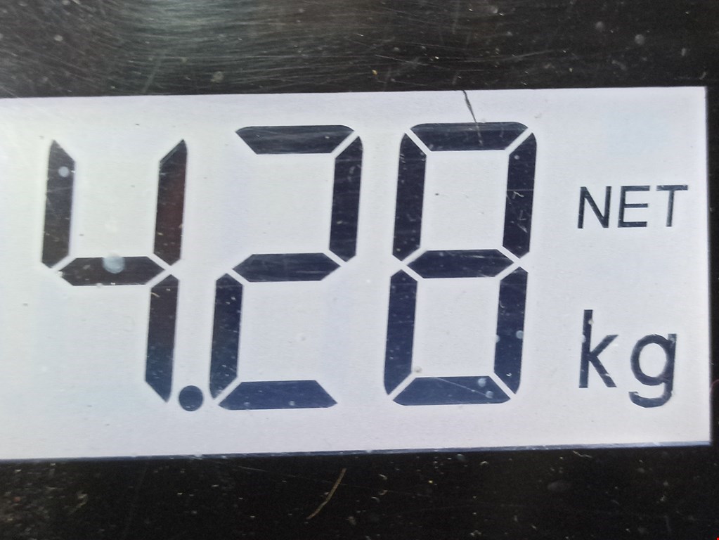 Стекло кузовное глухое левое KIA Carnival I 1999-2005