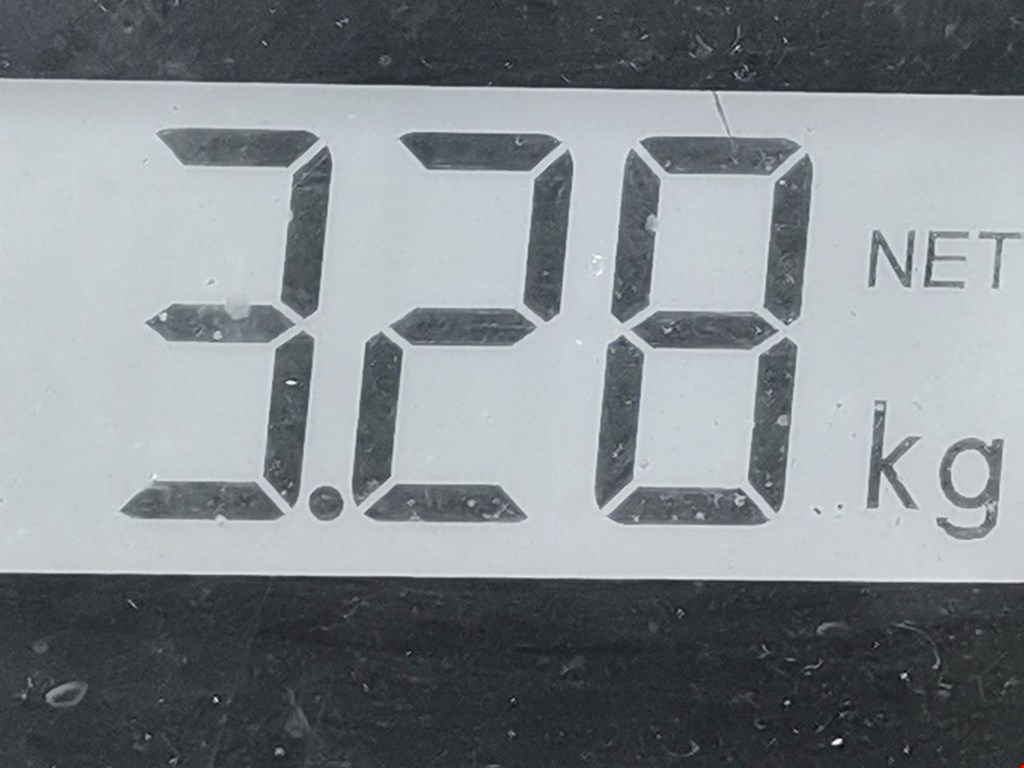 Пружина задняя левая/правая VOLKSWAGEN Golf IV 1997-2003