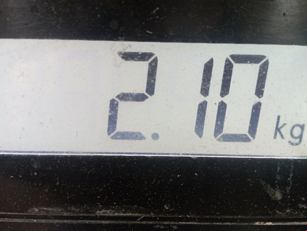 Корпус масляного фильтра VOLKSWAGEN Passat B6 2005-2011