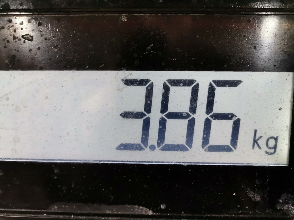 Коллектор впускной NISSAN Almera N16 2000-2006