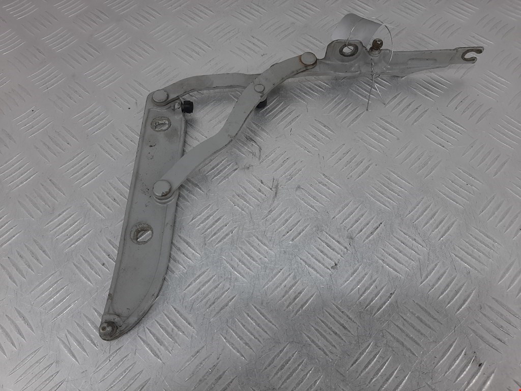 Петля крышки (двери) багажника BMW 3-Series (E46) (1998-2007)