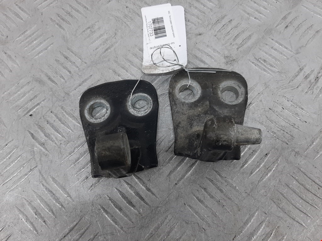 Петля двери передней правой Land Rover Range Rover Sport 1 (2005-2013)