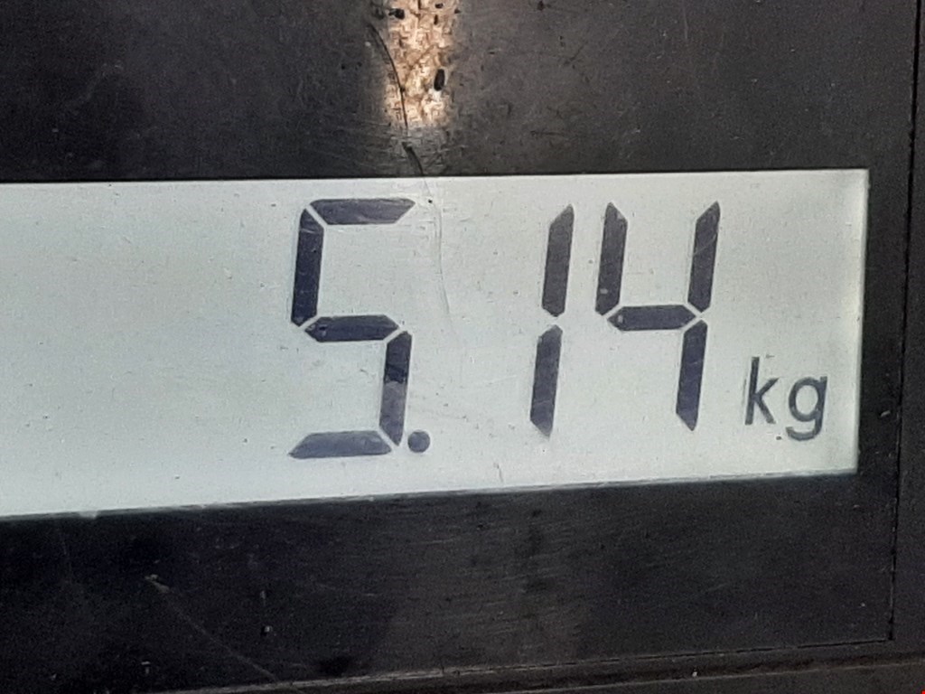 Суппорт передний правый OPEL Astra K 2015-2021