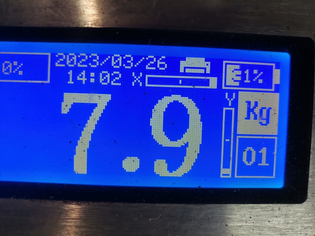 Амортизатор передний левый BMW X3 E83 2003-2010