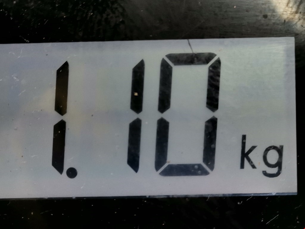 Решетка в бампер FORD Fiesta 2008-2012