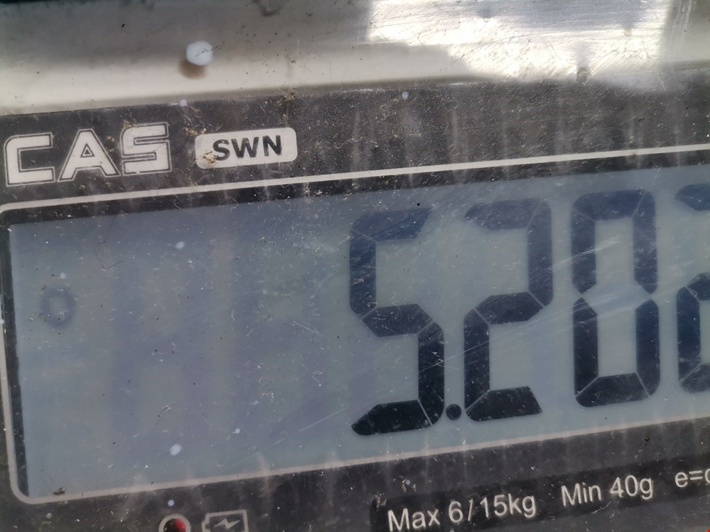 Амортизатор передний правый BMW 3er F30/F31/F80 2011-2019