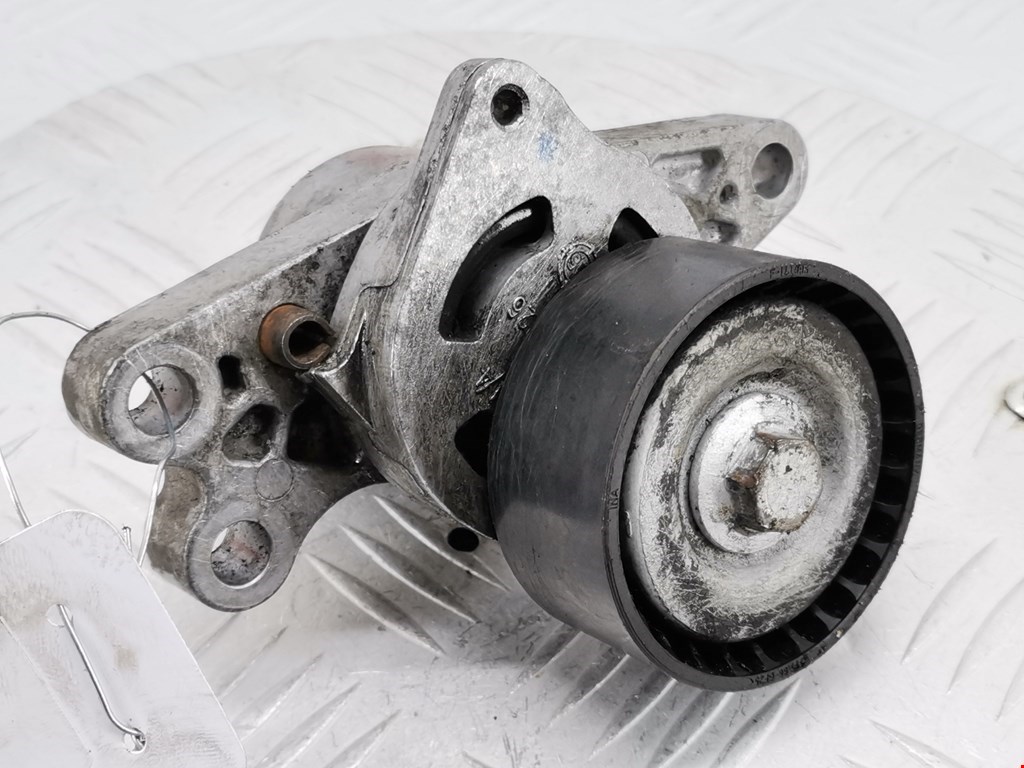 Натяжитель ремня генератора (приводного поликлинового ремня Peugeot 206 (1998-2006)