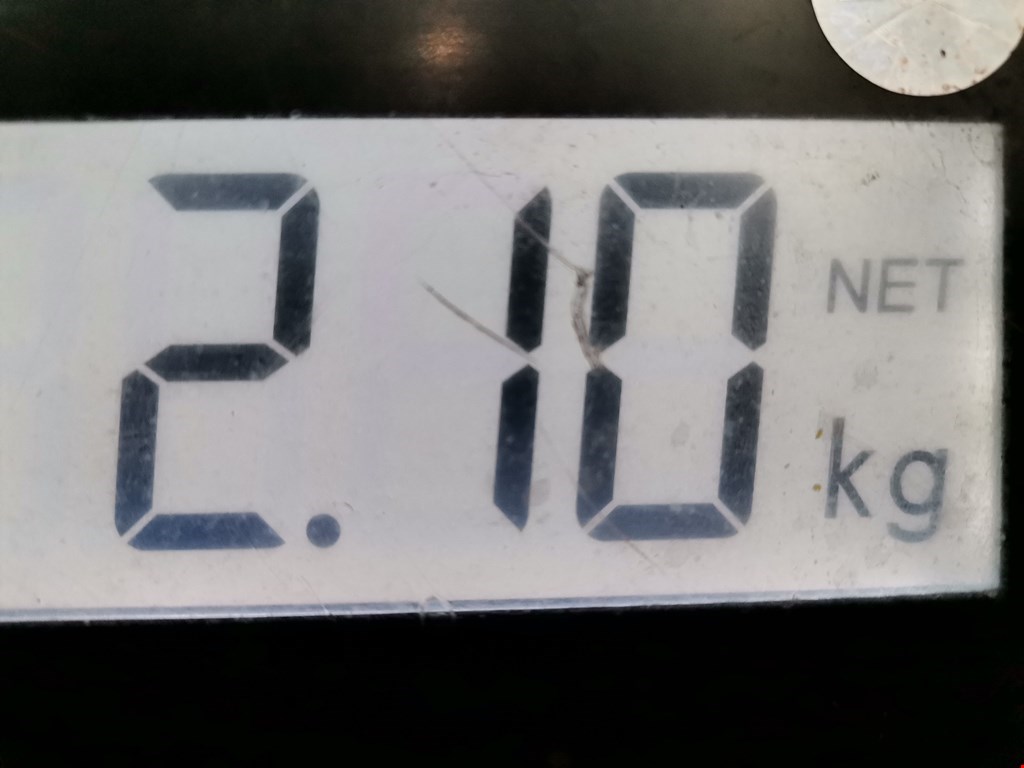 Амортизатор задний правый RENAULT Scenic I 1996-2003