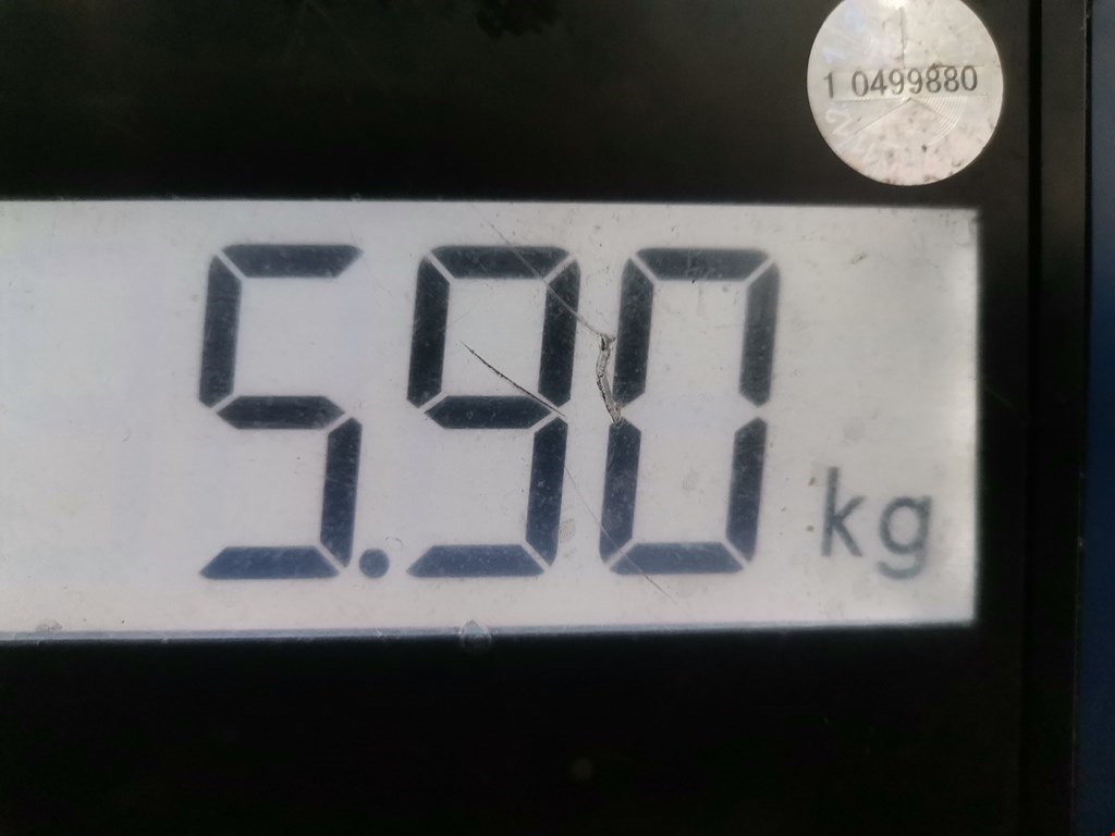 Амортизатор передний левый AUDI A3 8L 1996-2003