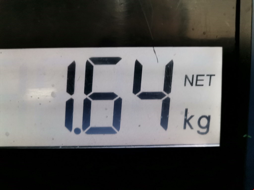 Амортизатор задний правый FORD Transit 2000-2006