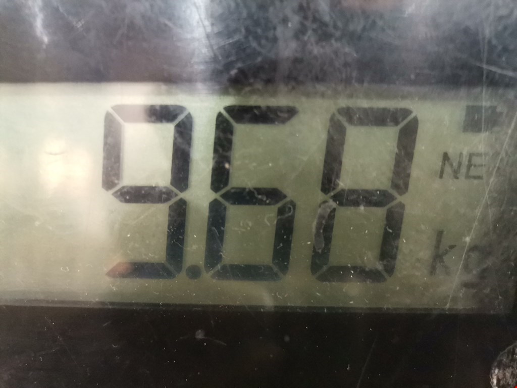 Амортизатор передний левый LAND ROVER Range Rover Sport 2005-2013