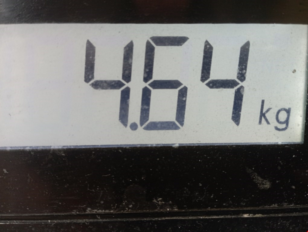 Коллектор впускной MITSUBISHI Carisma 1995-1999