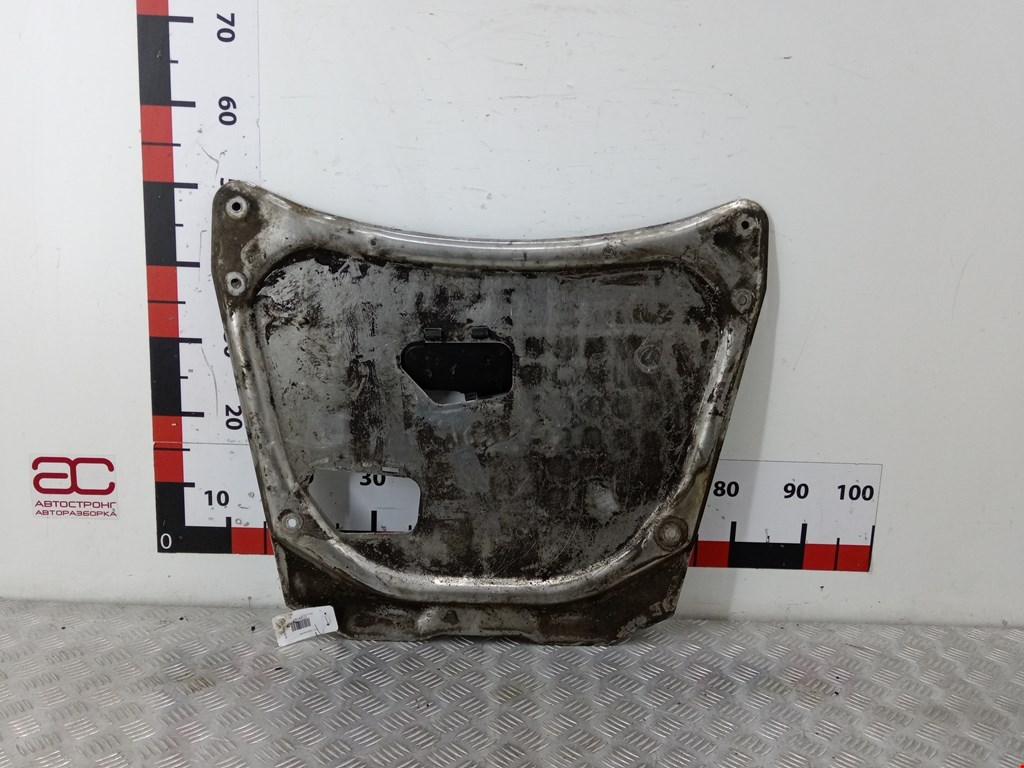 Защита картера (двигателя) BMW X5 E53 1999-2006