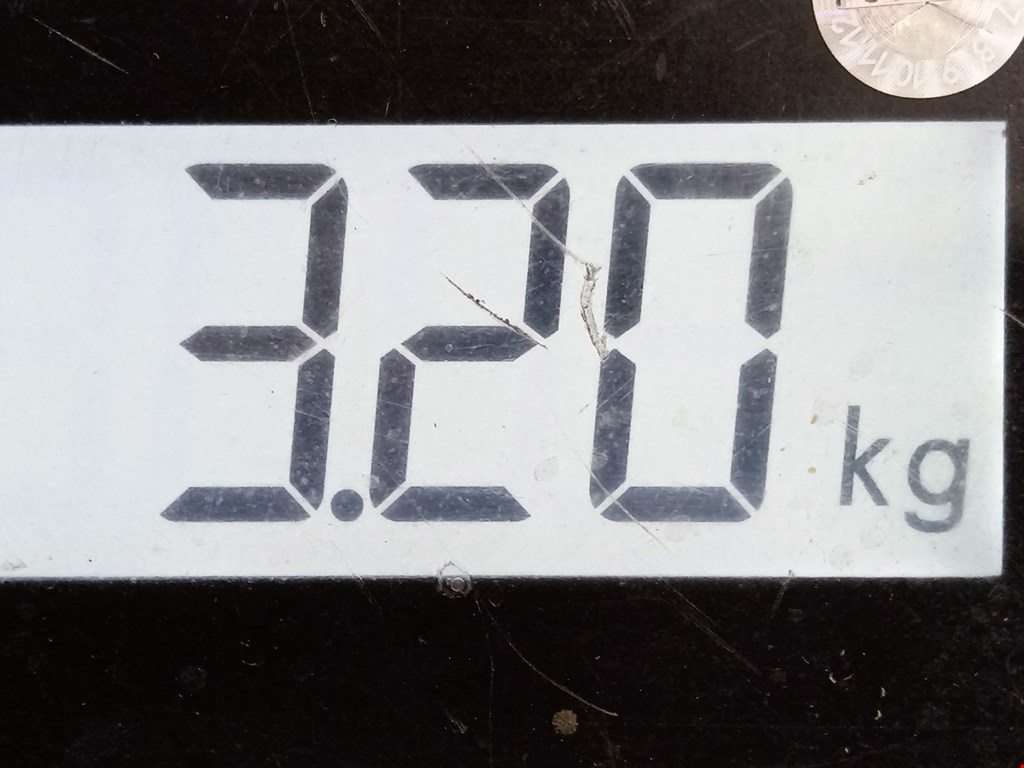 Защита картера (двигателя) BMW X5 E53 1999-2006