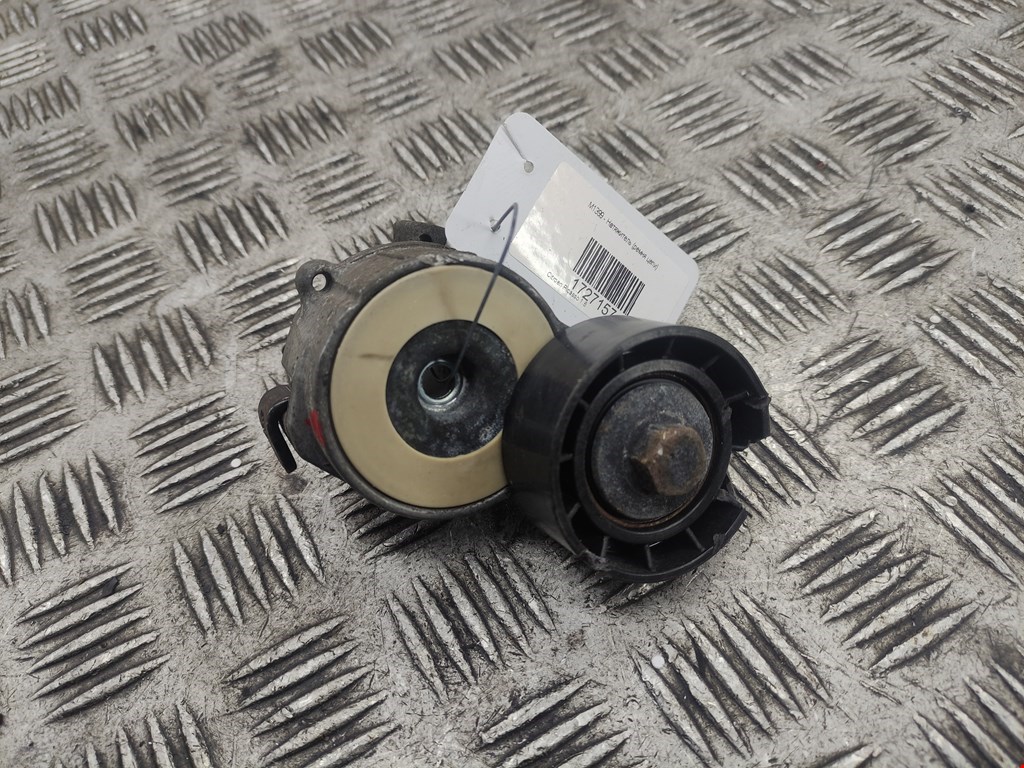 Натяжитель ремня генератора (приводного поликлинового ремня Citroen Xsara Picasso (1999-2012)