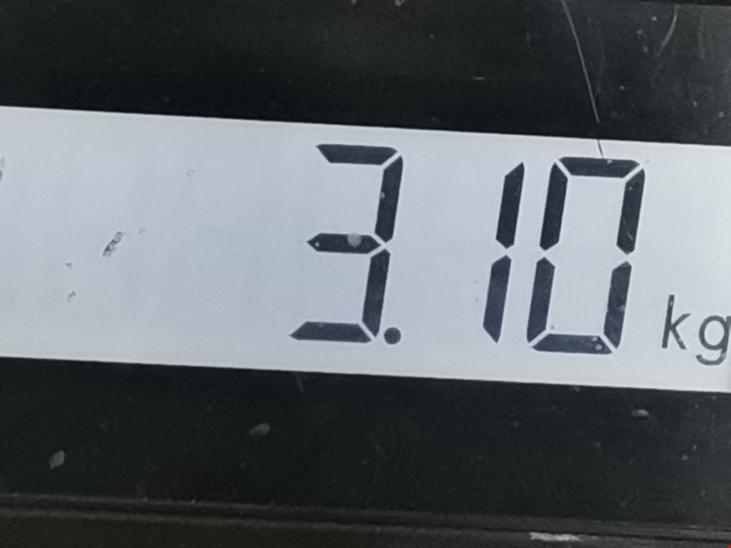 Усилитель тормозов вакуумный NISSAN Qashqai J10 2006-2013